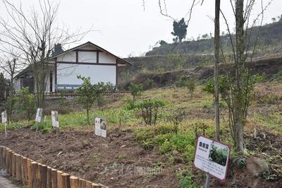 内江 以“产业融合+研学实践”双轮驱动，探索中医药传承创新与智能化工程新路径