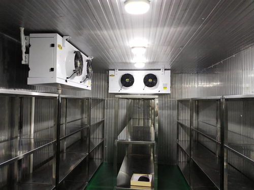 智能化安装工程 构建未来高效安全的工作与生活空间